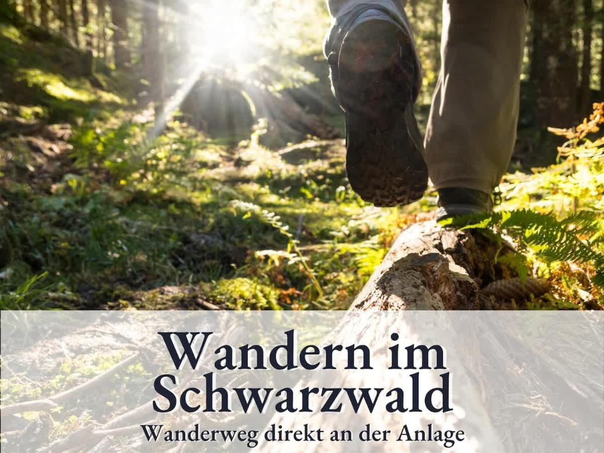 Relax-Apartment 164 Mit Indoor-Pool, Sauna, Kueche Und Netflix Schonach im Schwarzwald Exterior foto
